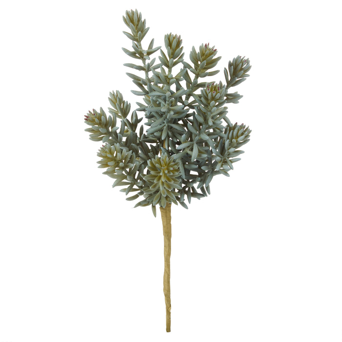 Rogue Senecio Green