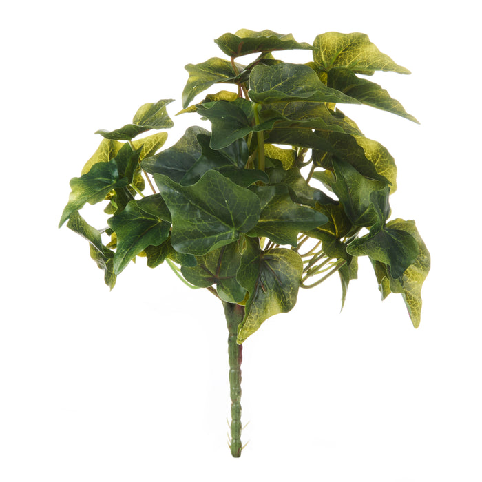 Rogue Ivy Bush Green