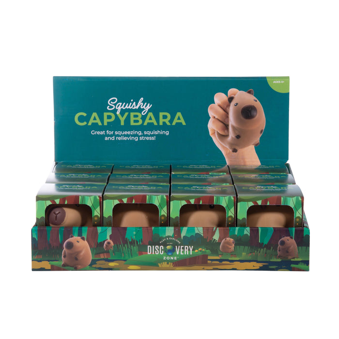 Discovery Zone Squishy Capybara CDU 12pcs Brown
