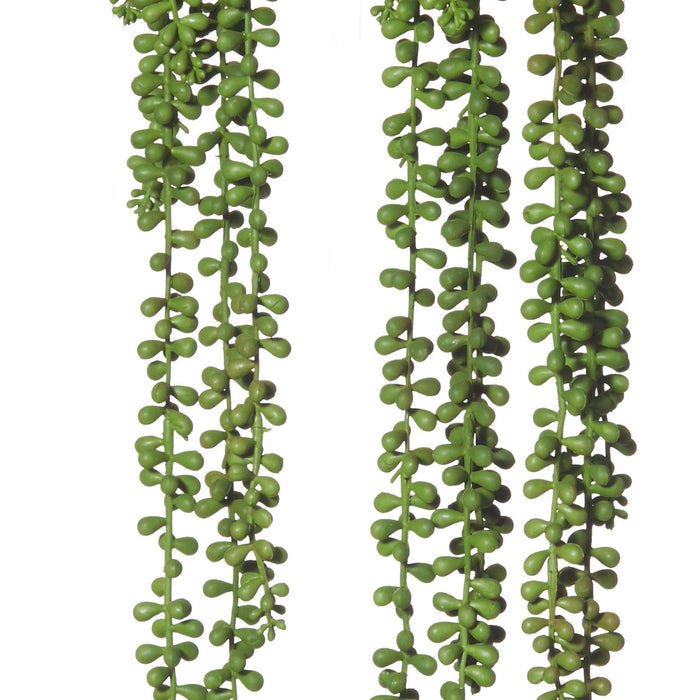 Rogue Hanging Pearls - Garden Pot Green