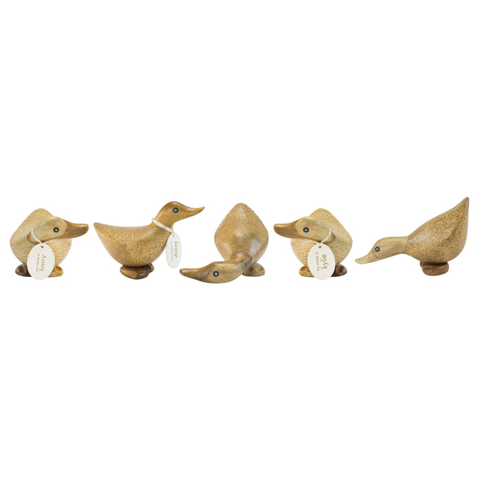 DCUK Natural Wooden Ducky 5 Assorted Natural