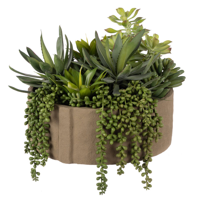 Rogue Succulent Mix - Danvers Seam Pot Wide Green