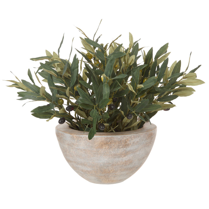 Rogue Olive Spray - Earthenware Bowl Green & Purple