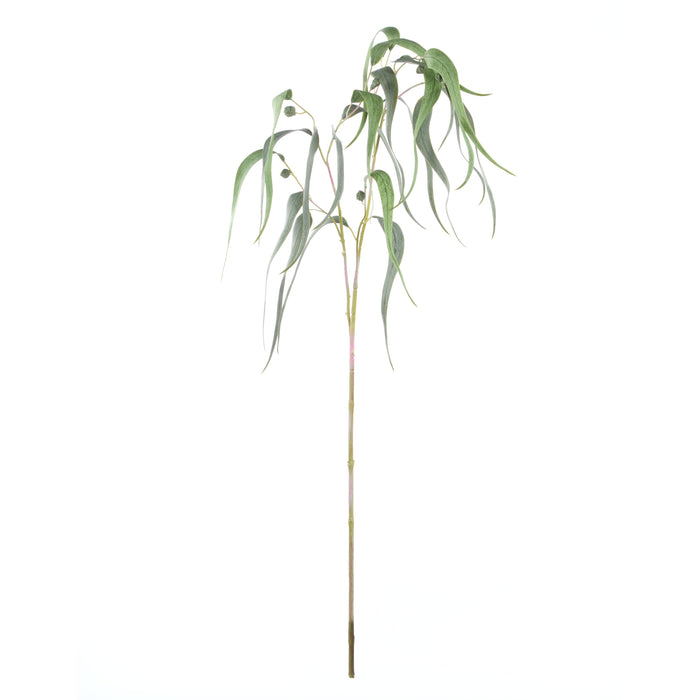 Rogue Eucalyptus Gumnut Spray Green