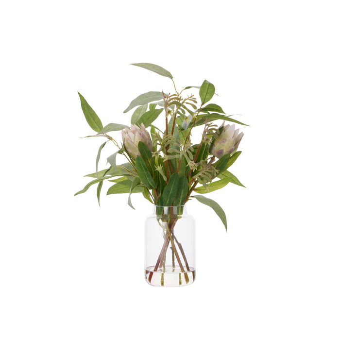 Rogue Pitaya Kangaroo Paw - Pauline Vase Cream & Green