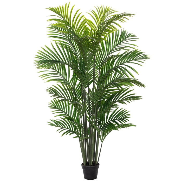 Rogue Areca Palm Tree - Garden Pot Green