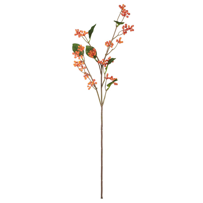 Rogue Dewberry Spray Orange