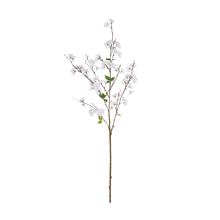 Rogue Cherry Blossom Spray White