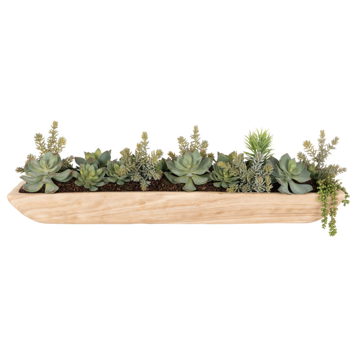Rogue Echeveria Succulent Garden - Dansk Green