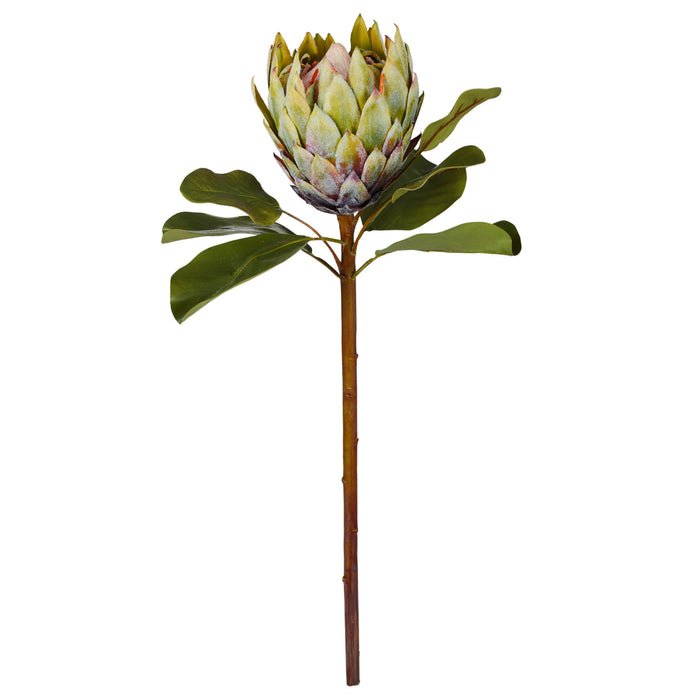 Rogue Grand Protea Stem Green