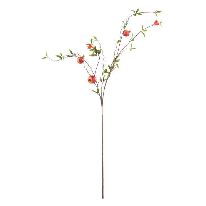 Rogue Weeping Pomegranate Green