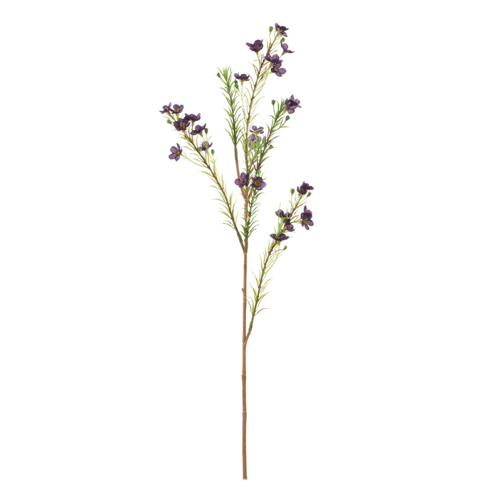 Rogue Wax Flower Spray Purple