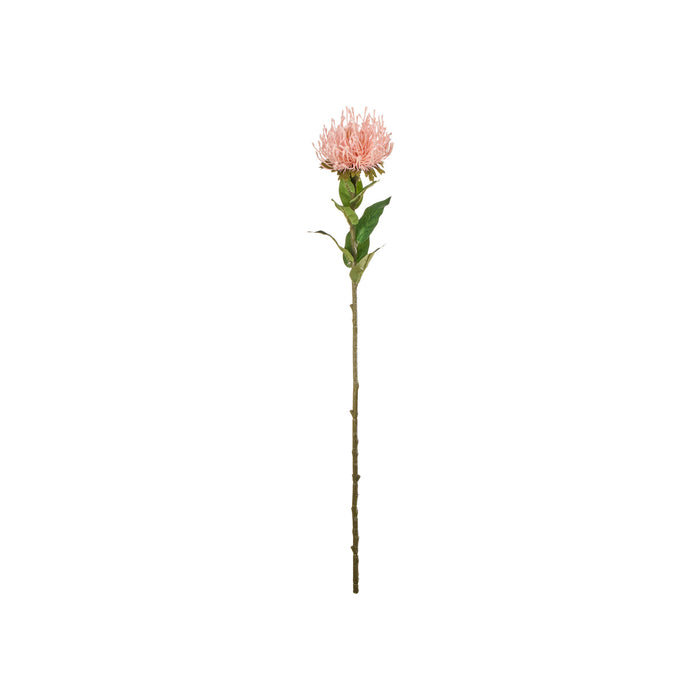 Rogue Pin Cushion Stem Pink