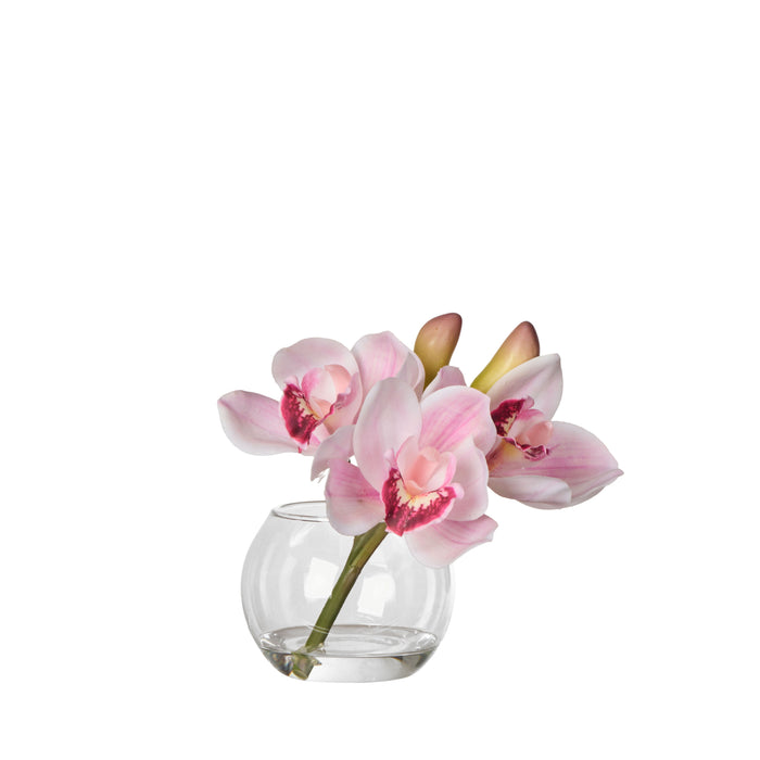 Rogue Cymbidium-Glass Vase Pink