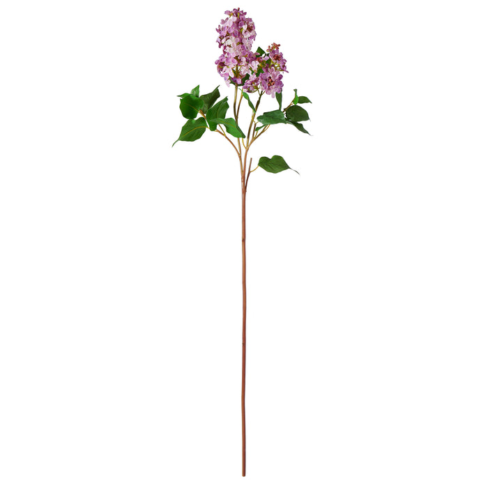 Rogue Lilac Spray Purple