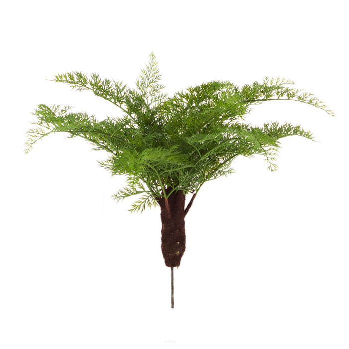 Rogue Radish Fern Bush Green