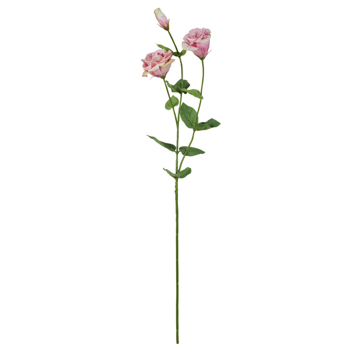 Rogue Lisianthus Stem Pink