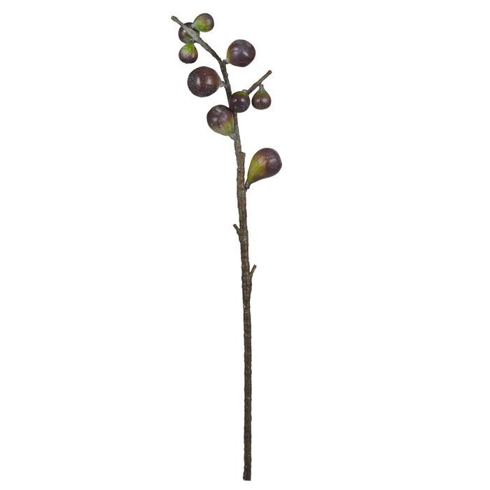 Rogue Wild Fig Spray Burgundy