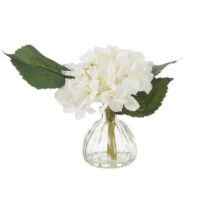 Rogue Hydrangea - Clear Glass Vase White