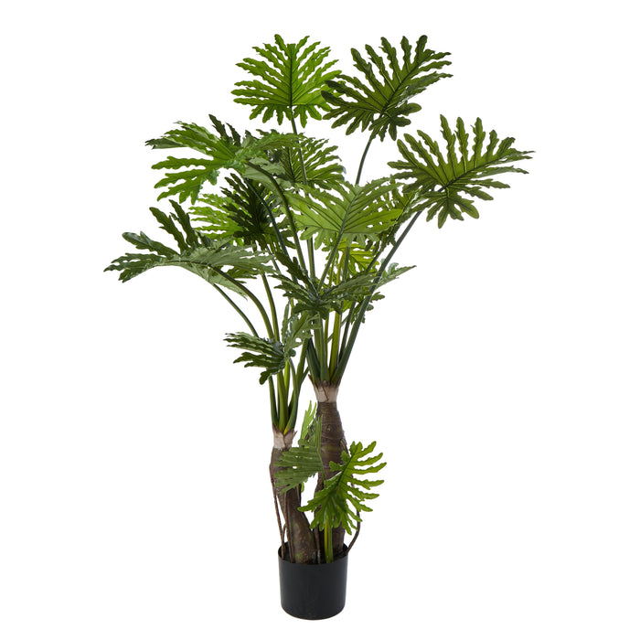 Rogue Lacy Philodendron Tree Green