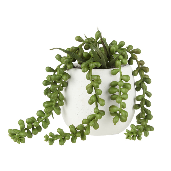 Rogue Hanging Pearls - Tub Pot Green & White