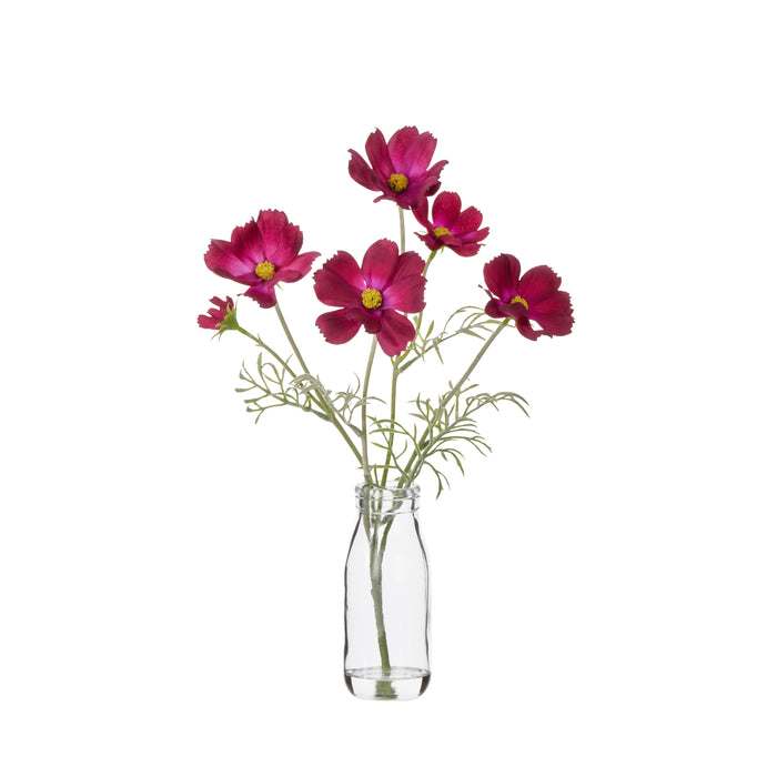 Rogue Cosmos in Milk Bottle Burgundy