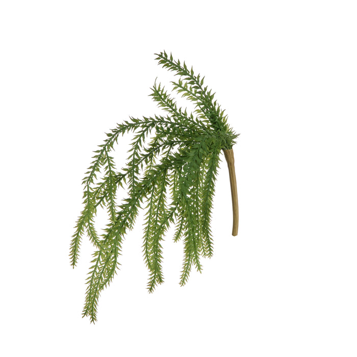 Rogue Tassel Fern Green
