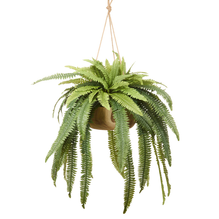 Rogue Boston Fern - Dansk Pot Hanging Green