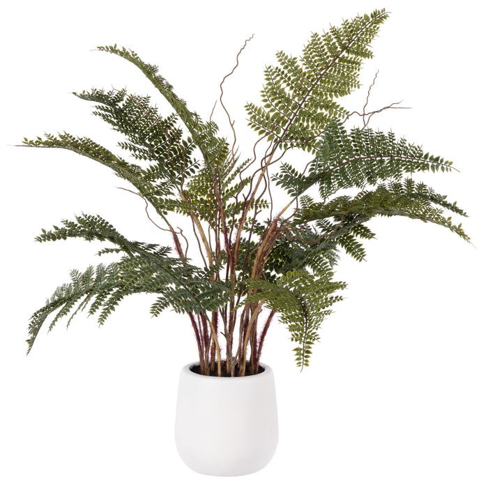 Rogue Mountain Wood Fern Pot Green