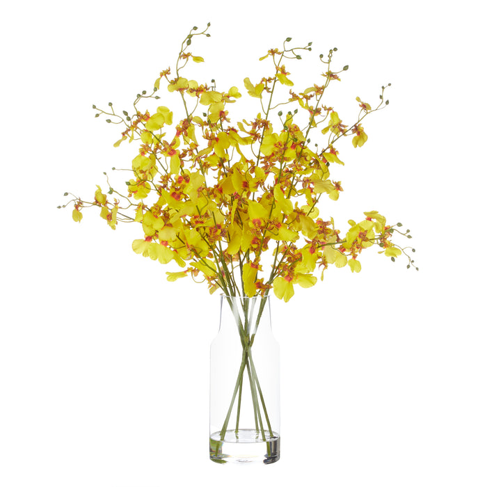 Rogue Dancing Orchid - Rachel Vase Yellow & Clear