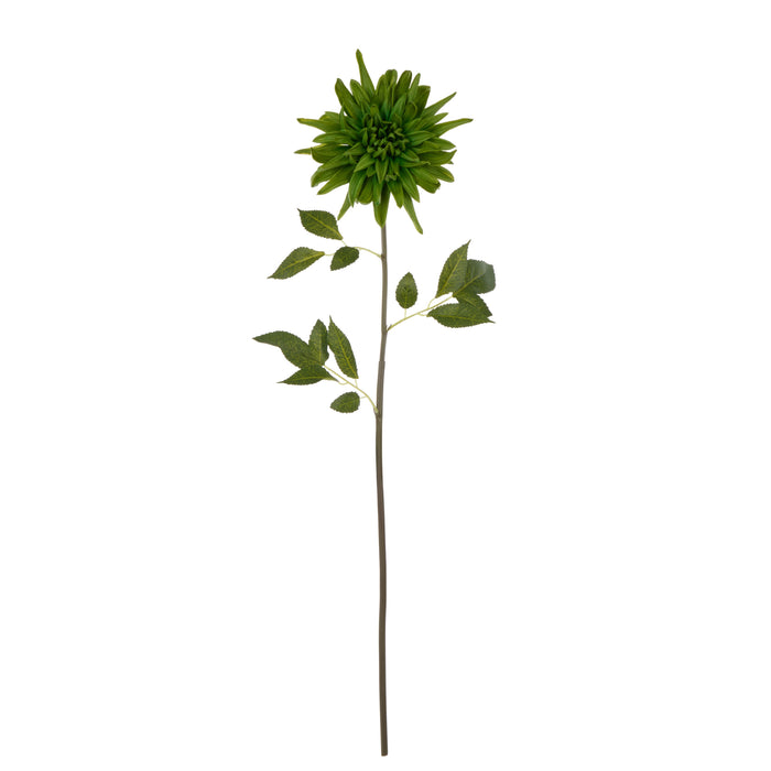 Rogue Dahlia Stem Green