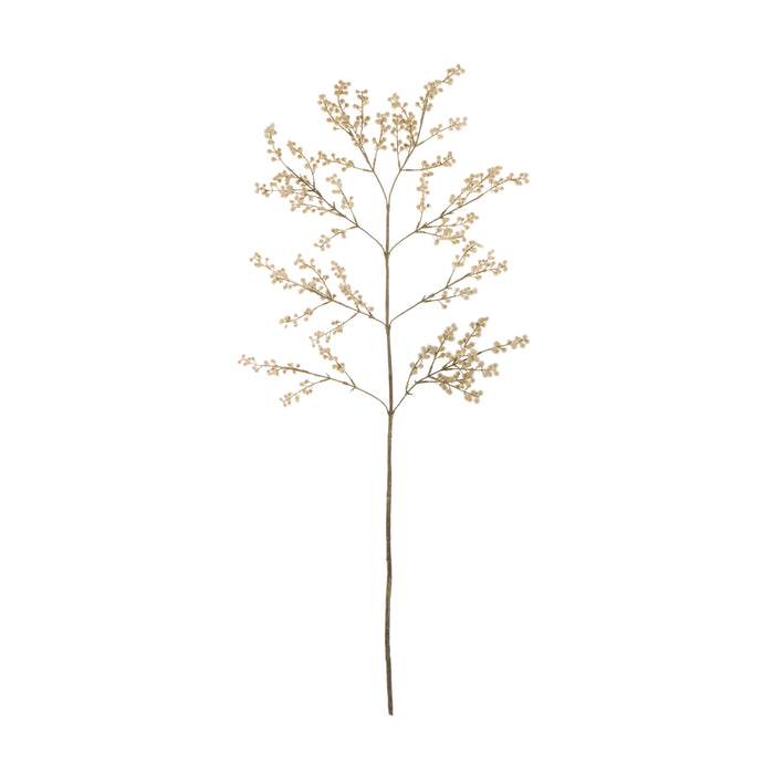 Rogue Wattle Branch Brown