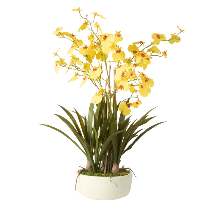 Rogue Dancing Orchid Pot Mustard Yellow