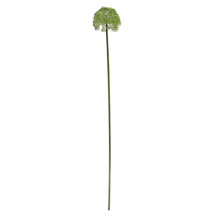 Rogue Buddleia Stem Green