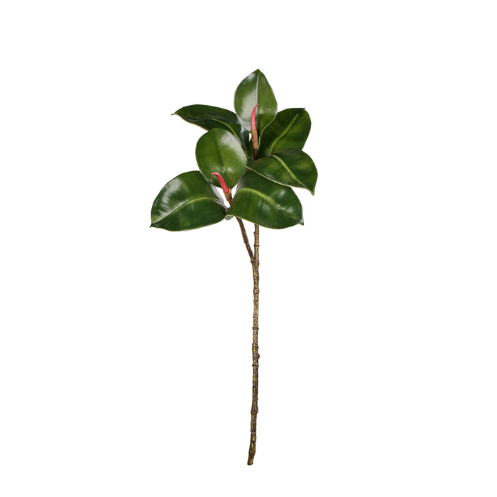 Rogue Rubber Tree Spray Green
