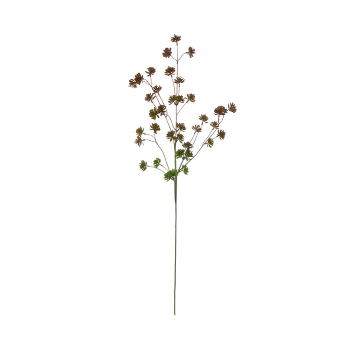 Rogue Succulent Spray Burgundy