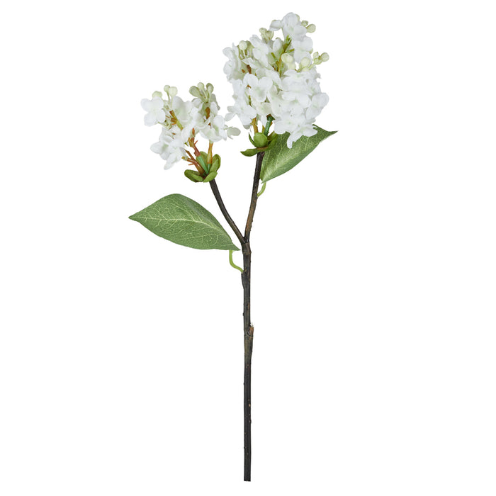 Rogue Lilac Pick White