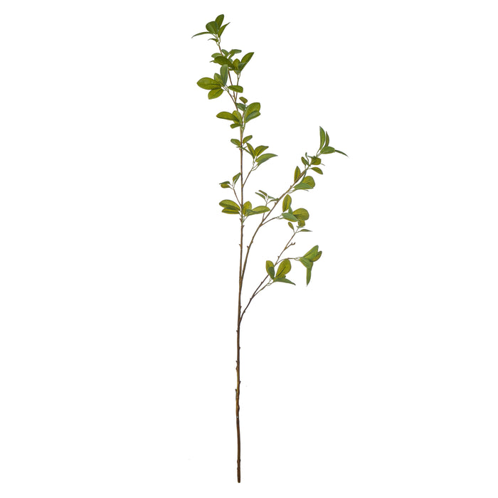 Rogue Mini Leaf Spray Green