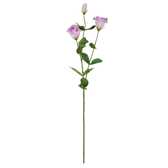 Rogue Lisianthus Stem Light Purple