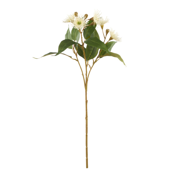 Rogue Eucalyptus Flower Spray White