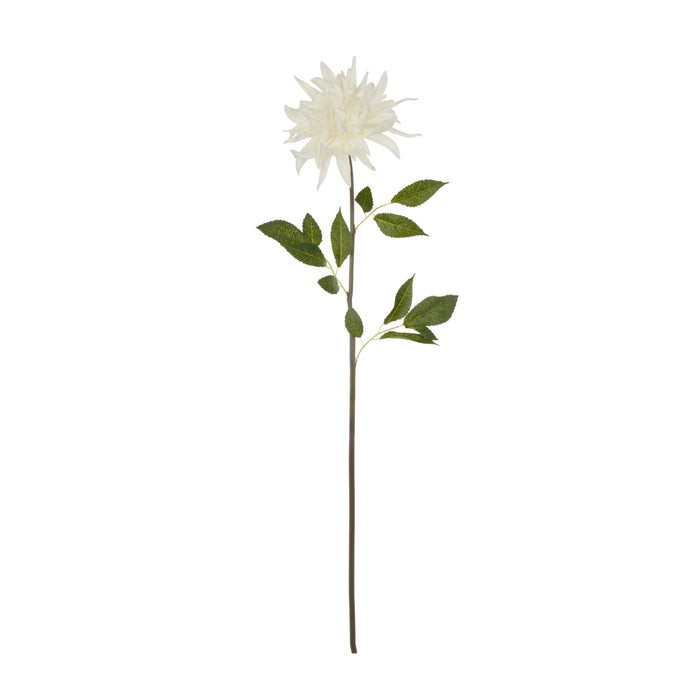 Rogue Dahlia Stem White