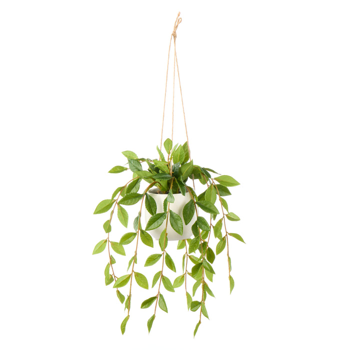 Rogue Lush Leaf Hanging Pot Green