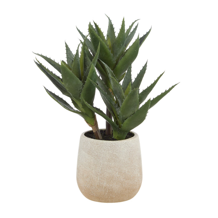 Rogue Aloe 3 Heads Pot Green