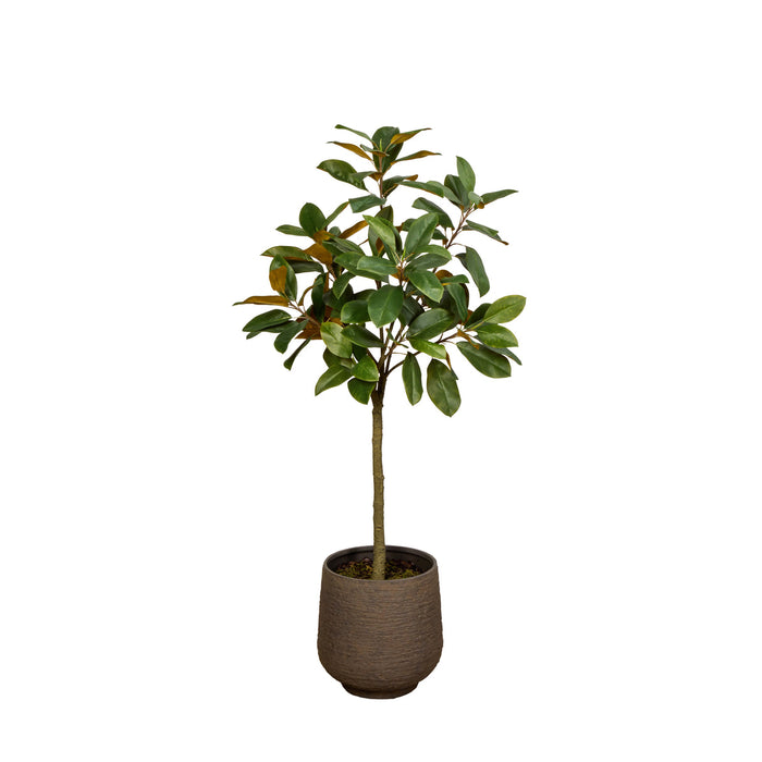 Rogue Magnolia Tree - Trillium Planter Green