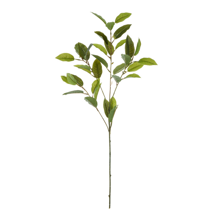 Rogue Viburnum Spray Green