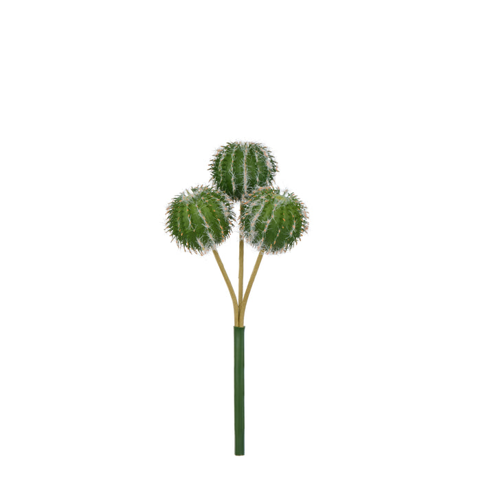 Rogue Barrel Cactus Spray Green