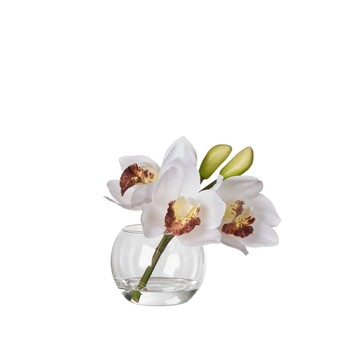 Rogue Cymbidium-Glass Vase White