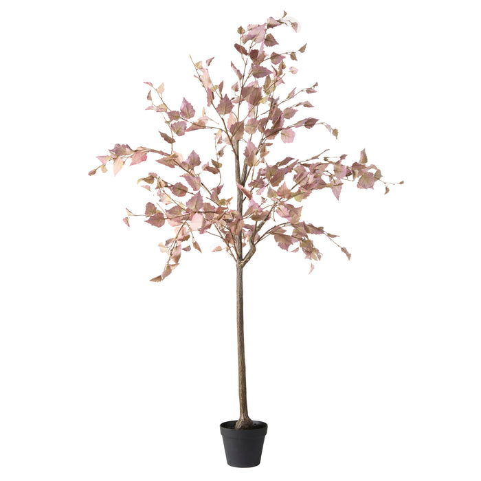 Rogue Birch Tree Pink