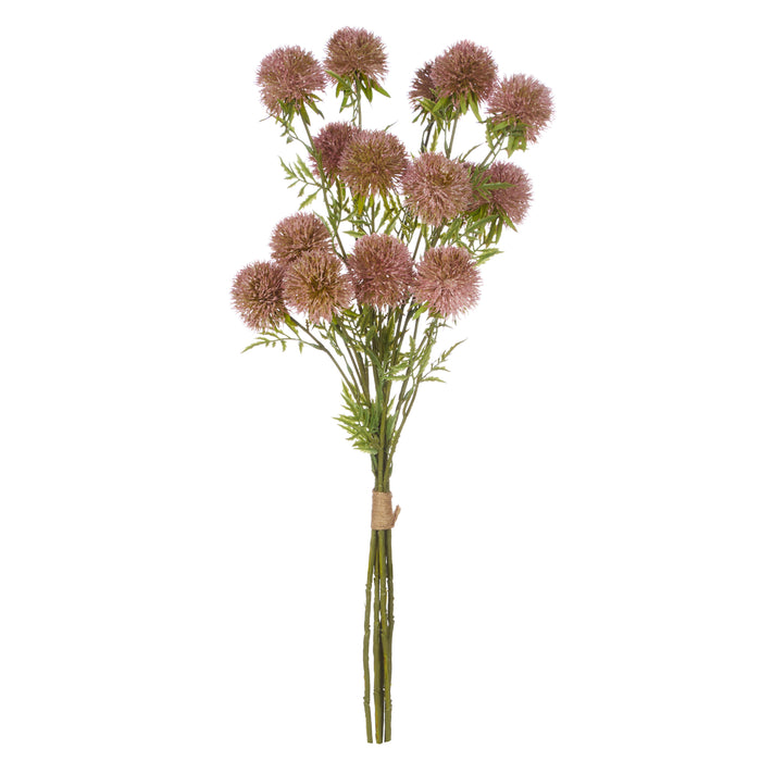 Rogue Allium Spray Bunch Dark Pink