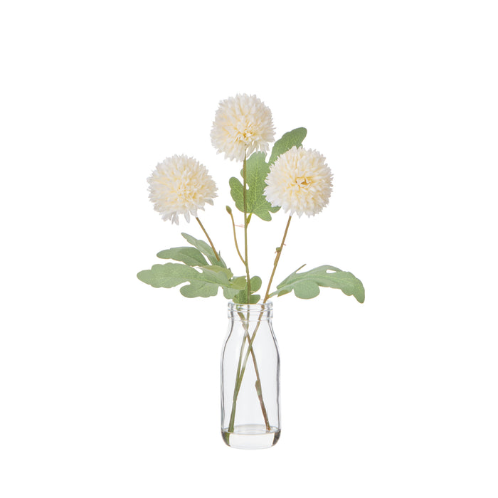Rogue Kiku in Milk Bottle Ivory